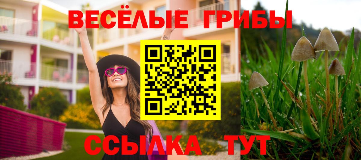 Псилоцибиновые грибы MAGIC MUSHROOMS Гурьевск