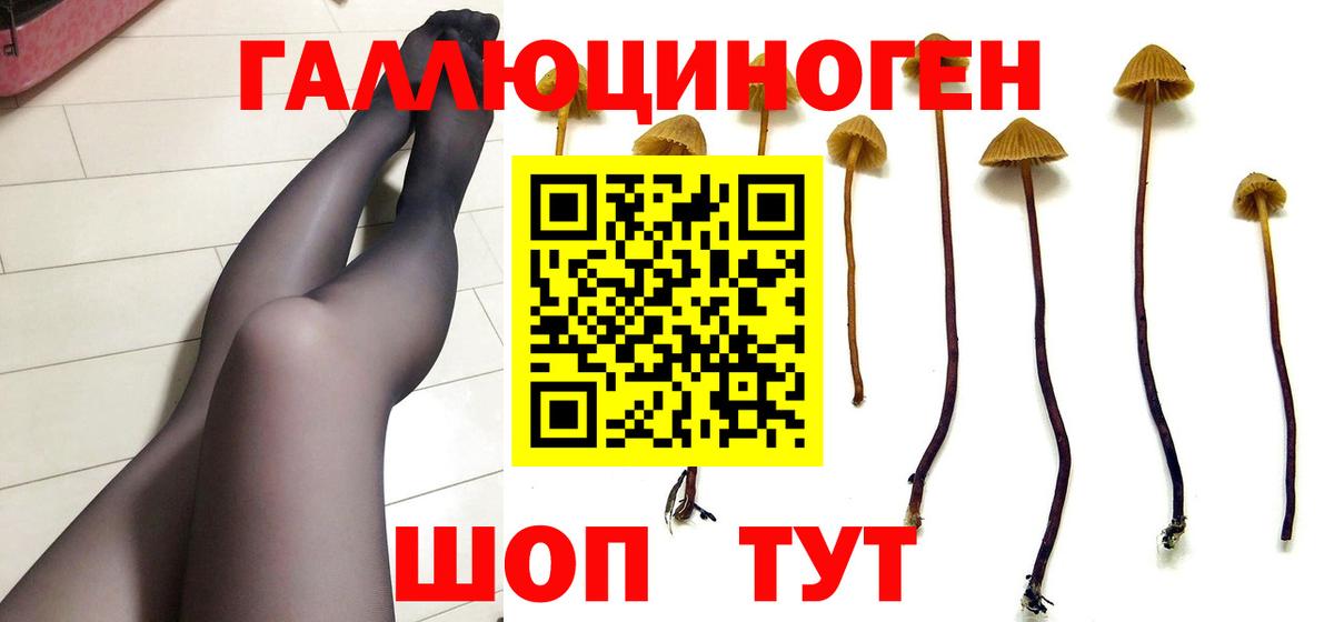 Галлюциногенные грибы Magic Shrooms  Псилоцибиновые грибы Psilocybe  закладка  Вход с VPN  Гурьевск 